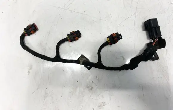 Hyundai Santa Fe Other wiring loom
