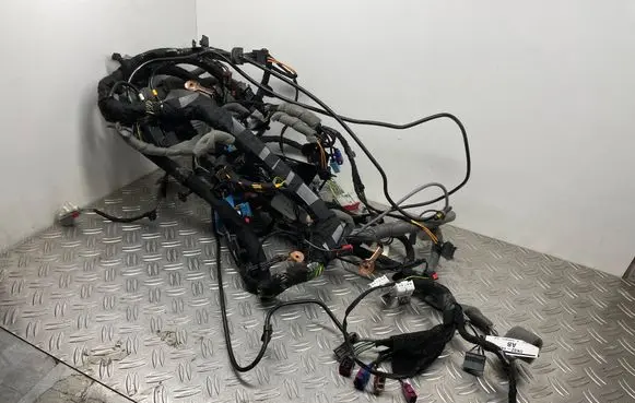 Other wiring loom