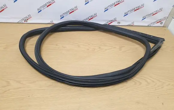 BMW 2 F22 F23 Front door rubber seal 7267912