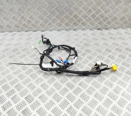 Aston Martin DBX Other wiring loom PY8353628AA