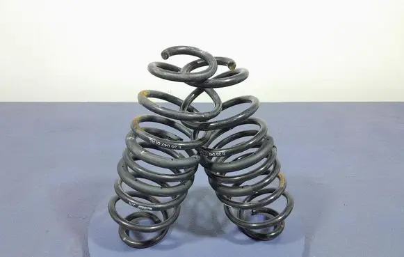 Ford Focus Rear coil spring 113504701