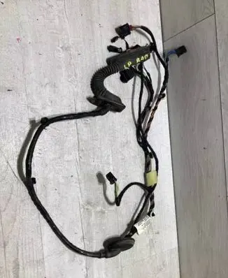 Front door wiring loom