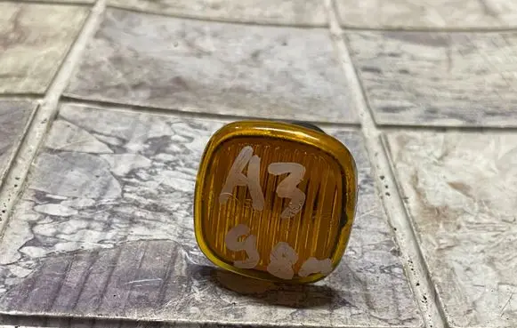 Front fender indicator light