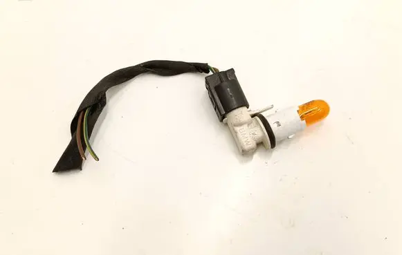 BMW X1 E84 Front fender indicator light 6939816