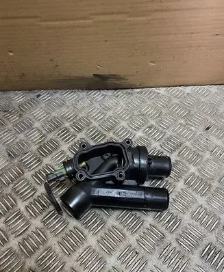 Thermostat/thermostat housing