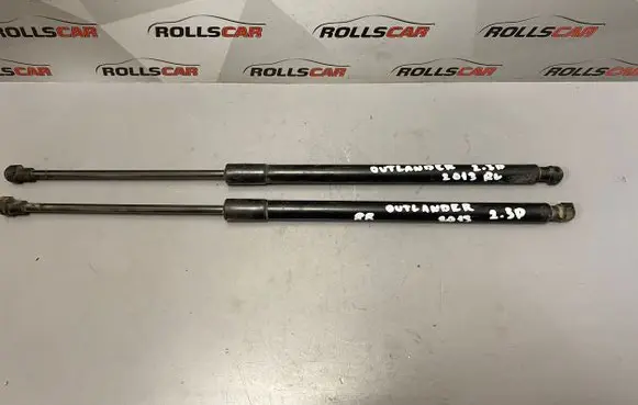 Tailgate/trunk strut/damper