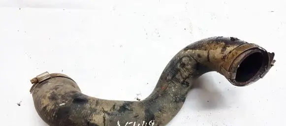 Citroen Berlingo Engine coolant pipe/hose