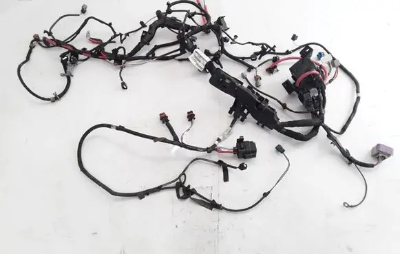 Engine installation wiring loom