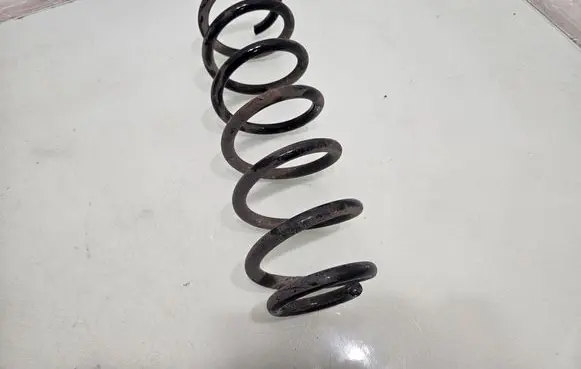 Rear coil spring