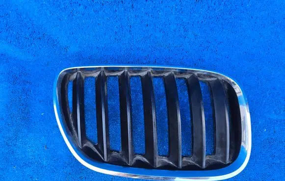 BMW X5 E53 Front grill 7113734