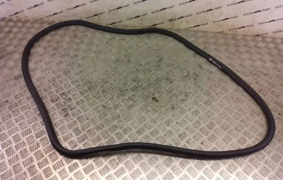 Opel Insignia B Front door rubber seal 
