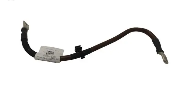 Volkswagen ID.4 Negative earth cable (battery) 1EA971354