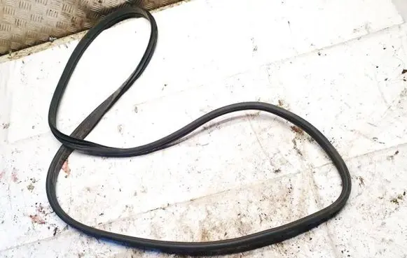 KIA EV6 Rubber seal front coupe door 