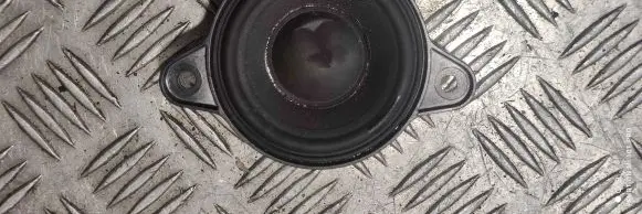 Front door high frequency speaker
