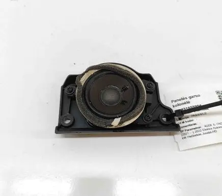 Audi E-tron GT Panel speaker 9J1035362