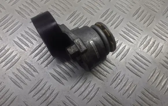 Renault Megane III Alternator belt tensioner pulley 