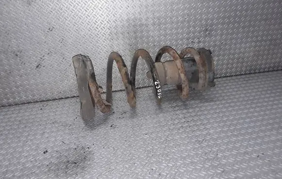 Fiat Punto (188) Rear coil spring 