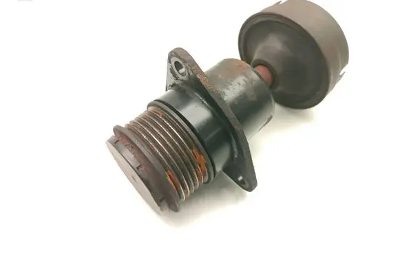 Ford Focus Alternator pulley 