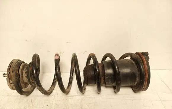 Peugeot Bipper Rear coil spring 51804746