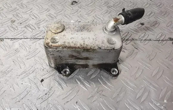 Volkswagen Touran I Engine oil radiator 06D117021C 083140605