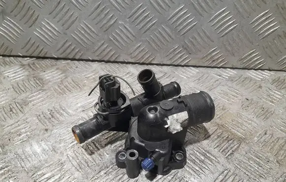 Thermostat/thermostat housing