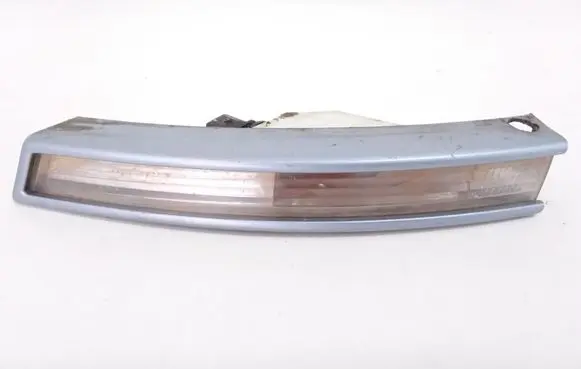 Volkswagen PASSAT B6 Front indicator light