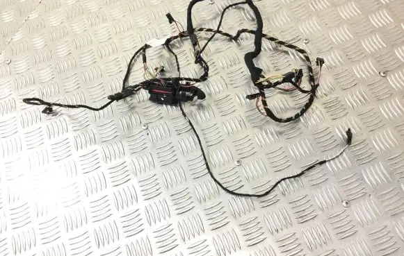 Porsche Cayenne (92A) Other wiring loom 7P5971565E