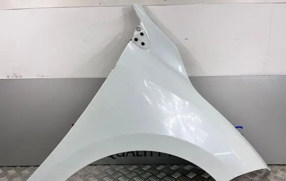 Renault Megane III Fender 