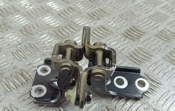 KIA EV6 Rear door hinge set 