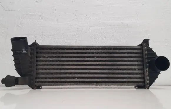 Renault Kangoo II Intercooler radiator 8200427469