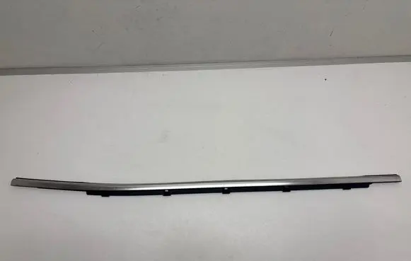 Hyundai Santa Fe Rear door glass trim molding