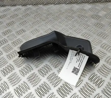 Rear/tail light trim molding