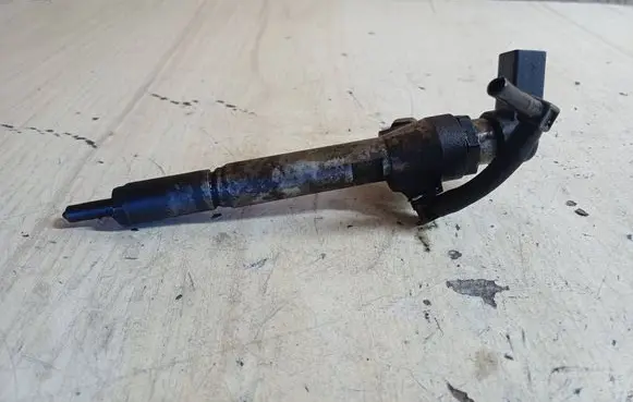 Renault Megane II Fuel injector 8200294788