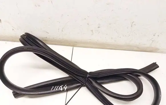 Dacia Sandero Rubber seal front coupe door 