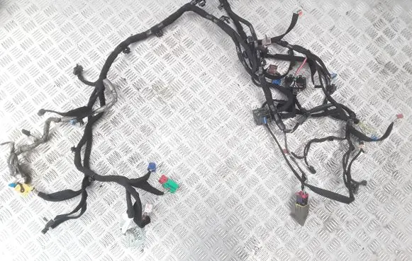 Citroen C6 Panel wiring 9657449780