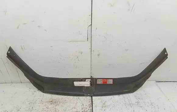 Engine bonnet/hood lock trim molding