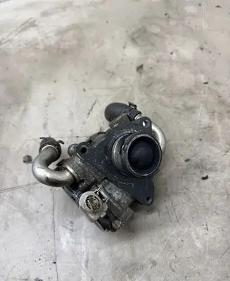 Volkswagen PASSAT B8 EGR valve WA0110116
