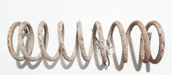 Ford Focus Rear coil spring