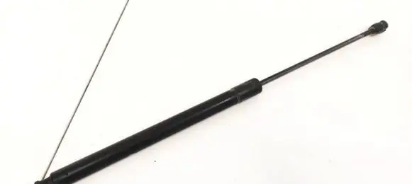 Tailgate/trunk strut/damper