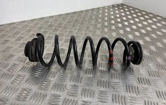 Citroen DS4 Rear coil spring