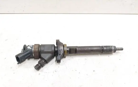 Peugeot 308 Fuel injector 0445110297 620026