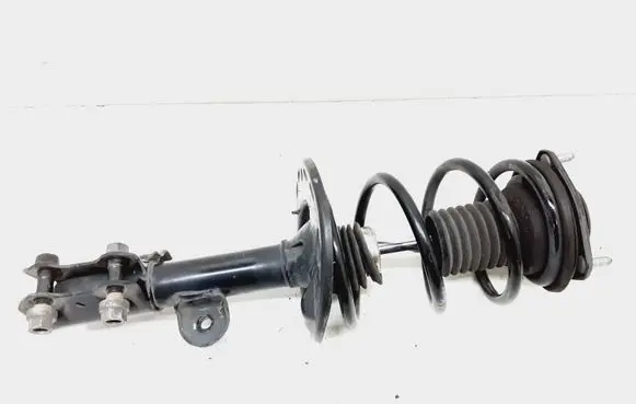 Toyota RAV 4 (XA40) Front shock absorber/damper 485100R040