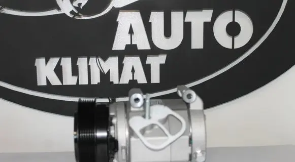 Chevrolet Captiva Air conditioning (A/C) compressor (pump) 96629605