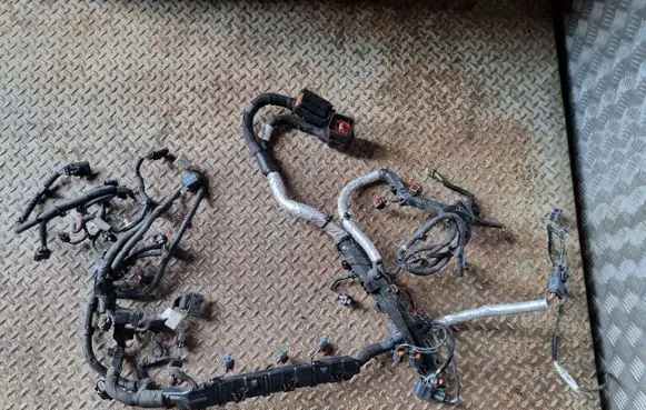 Jaguar XE Engine installation wiring loom G4D312A690BC