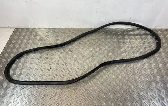 Front door rubber seal