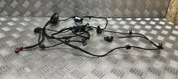 Audi A3 8Y Rear door wiring loom 4F0971841 8Y4971104DT 4F0971841F