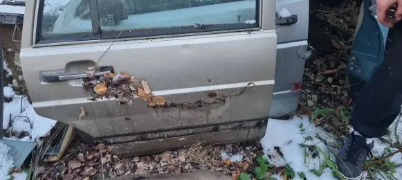 Volkswagen PASSAT Rear door sound insulation 