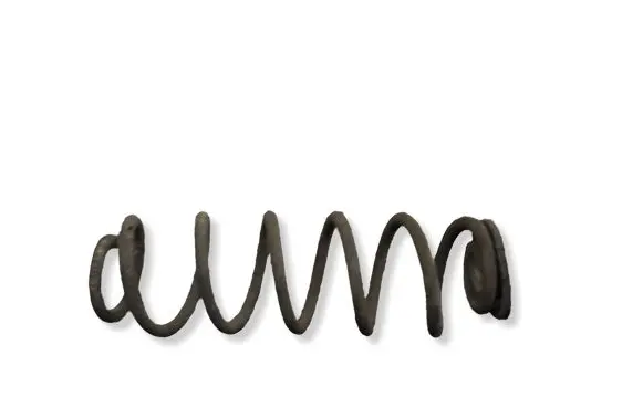 Toyota Prius (XW50) Rear coil spring 