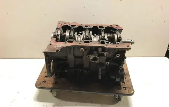 Nissan X-Trail T31 Engine block M9R