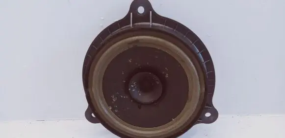 Nissan Qashqai+2 Rear door speaker